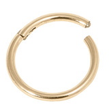 Zircon Steel Hinged Segment Ring (Gold colour) (Clicker) - SKU 23841