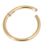 Zircon Steel Hinged Segment Ring (Gold colour) (Clicker) - SKU 33729