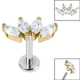 Titanium Internally Threaded Labrets 1.2mm - Gold Plated Titanium Claw Set 4 CZ Jewel Marquise Fan - SKU 37783