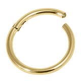 Gold Steel Hinged Segment Ring (Clicker) - SKU 38015