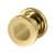 Gold Steel Screw Flesh Tunnel - SKU 38428