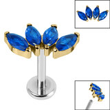 Titanium Internally Threaded Labrets 1.2mm - Gold Plated Titanium Claw Set 4 CZ Jewel Marquise Fan - SKU 67372