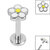 Titanium Internally Threaded Labrets 1.2mm - Daisy Flower - SKU 68003