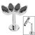 Titanium Threadless Labrets - Titanium (Bend-fit) Claw Set 4 CZ Jewel Marquise Fan - SKU 68397