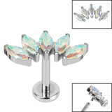 Titanium Internally Threaded Labrets 1.2mm - Titanium Claw Set 5 CZ Jewel Marquise Fan - SKU 68783