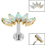 Titanium Internally Threaded Labrets 1.2mm - Gold Titanium Titanium Claw Set 5 CZ Jewel Marquise Fan - SKU 68808