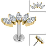 Titanium Internally Threaded Labrets 1.2mm - Gold Plated Titanium Titanium Claw Set 5 CZ Jewel Marquise Fan - SKU 68814