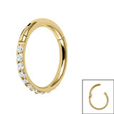 Gold Titanium 1.2mm Pave Set Jewelled Edge Hinged Clicker Ring - SKU 69911