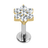 Titanium Internally Threaded Labrets 1.2mm - Titanium Claw Set Jewelled Primrose Flower - SKU 70377