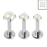 Titanium Triple Piercing with Titanium Tops - Internally Threaded Claw Set Round Pearl 1.2mm - SKU 70637