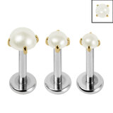 Titanium Triple Piercing with Titanium Tops - Internally Threaded Claw Set Round Pearl 1.2mm - SKU 70638