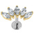 Titanium Threadless Labrets - Titanium Claw Set 5 Jewelled Marquise Fan - SKU 71107