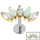 Titanium Threadless Labrets - Gold Titanium (Bend-fit) (Infinity) Claw Set 5 Marquise Opal and Jewel Fan - SKU 71481