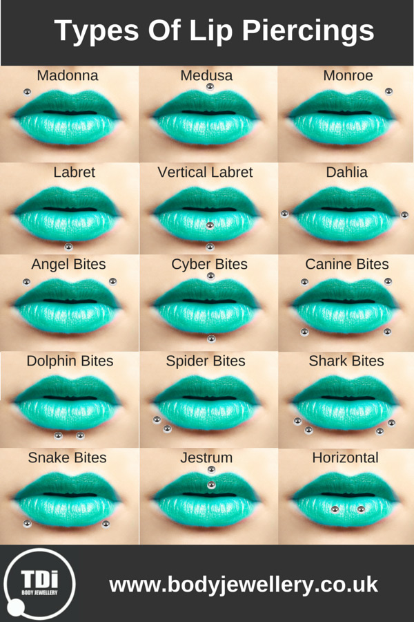 Guide to Lip Piercing Types | TDi Body 